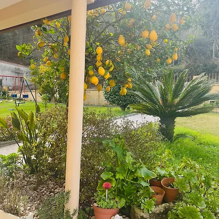 Esteves * Vila Verde (Braga)