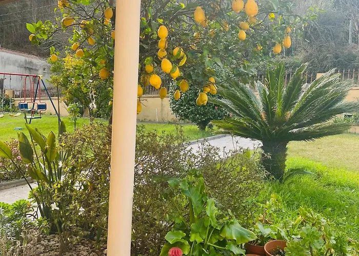 Esteves * Vila Verde